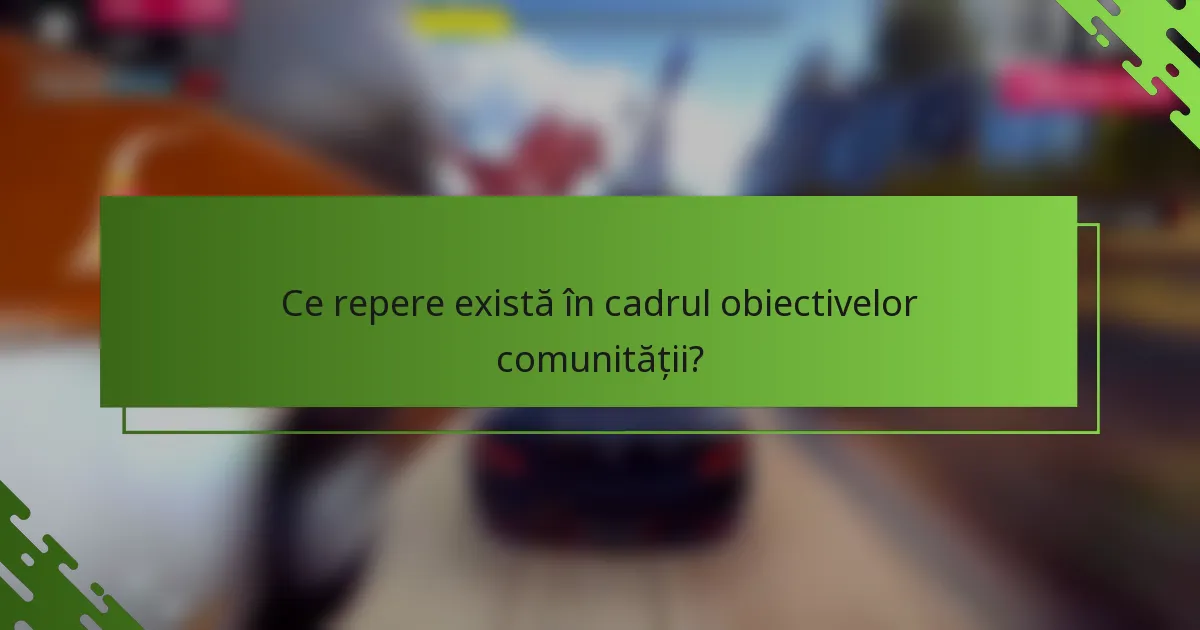 Ce repere există în cadrul obiectivelor comunității?